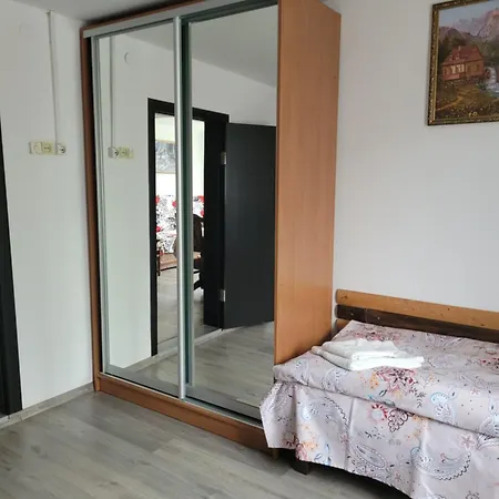 Apartment Mlynski