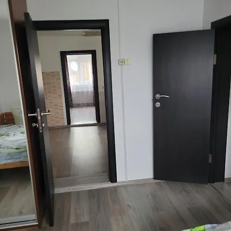 Apartment Mlynski *