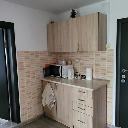 Apartment Mlynski Mykulytschyn