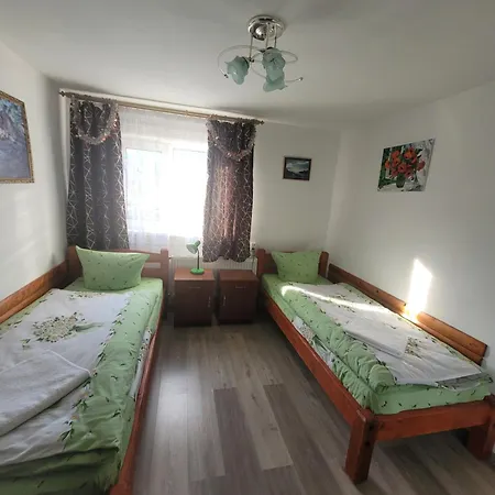 Apartment Mlynski