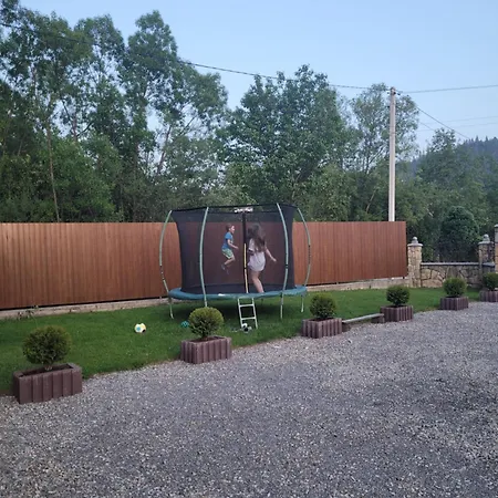 Mlynski * Mykulytschyn