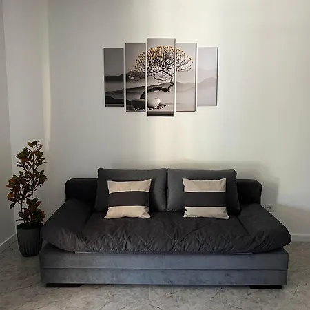 Apartment Mlynski