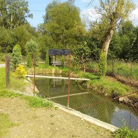 Mlynski * 미쿨리친