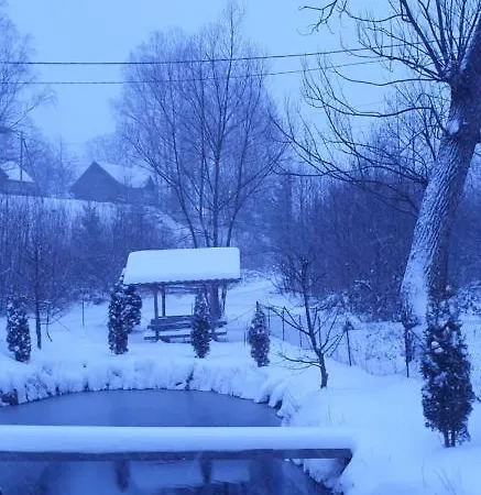 Mlynski * 미쿨리친